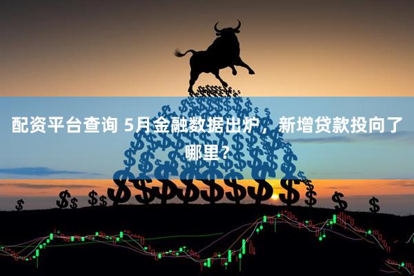配资平台查询 5月金融数据出炉，新增贷款投向了哪里？