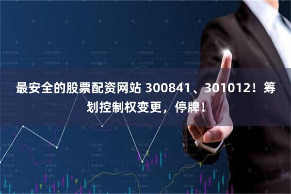 最安全的股票配资网站 300841、301012！筹划控制权变更，停牌！